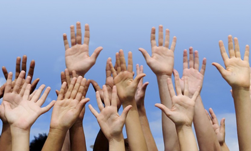 Ömür uzatan hobi; resmi-gönüllülük